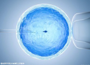 供卵代生机构